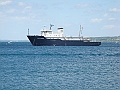 Western Michigan [2010] 510